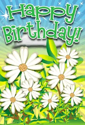 Daisy Flower Birthday Card Greeting Card