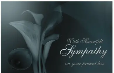 Sympathy Card with Lily Greeting Card