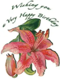 Birthday Card with Flowers (small) Greeting Card