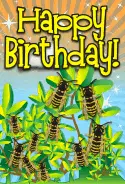 Yellowjacket Insect Birthday Card