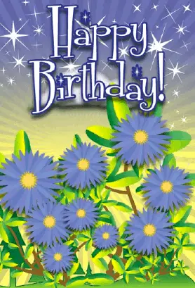 Aster Flower Birthday Card Greeting Card