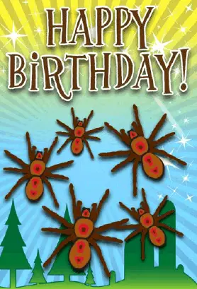 Spider Birthday Card Greeting Card