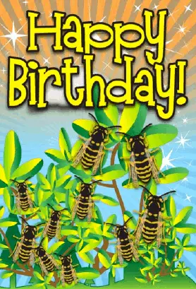 Yellowjacket Insect Birthday Card Greeting Card