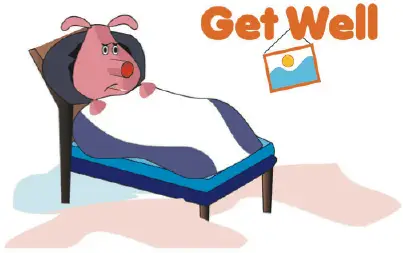 Get Well Card with Pig Greeting Card