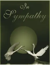 Sympathy Card with Birds (small) Greeting Card