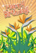 Bird of Paradise Birthday Card